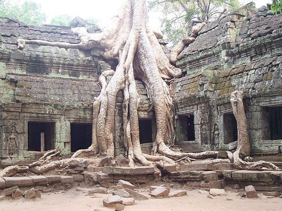 Ангкор-Ват в объятиях леса