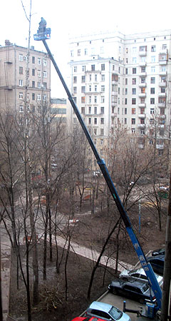 Обрезка высокого дерева в московском дворе 